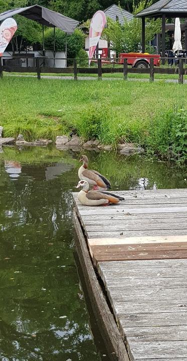 Zur Weiher Schleife